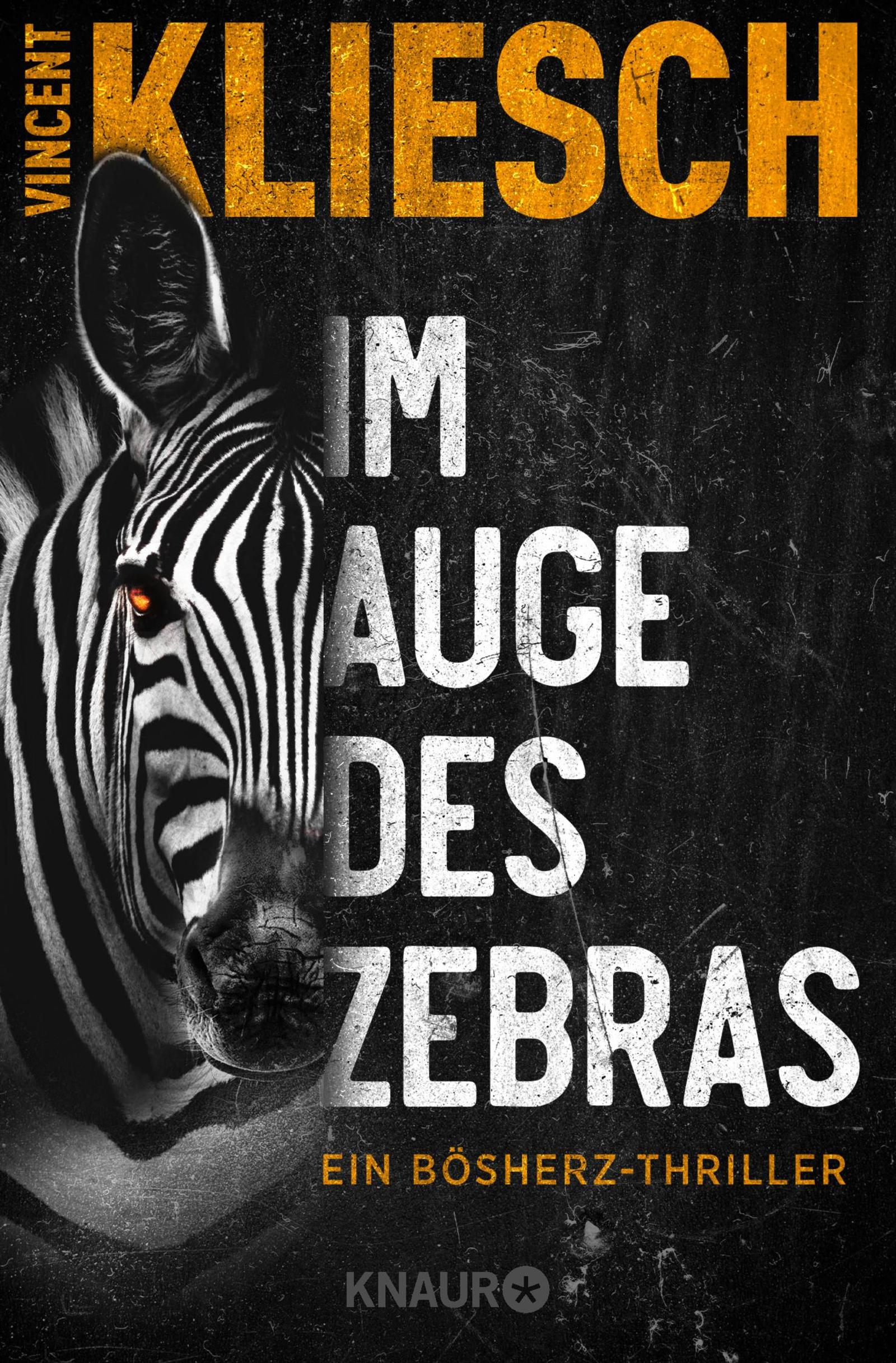 You are currently viewing Krimi Lesung „Im Auge des Zebras“ mit Vincent Kliesch